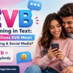 EVB Meaning in Text