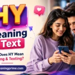 HY Meaning