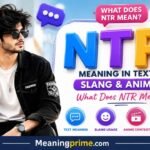 NTR Meaning in Text, Slang & Anime What Does NTR Mean