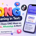ONG meaning in text