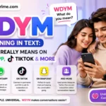wdym meaning in text
