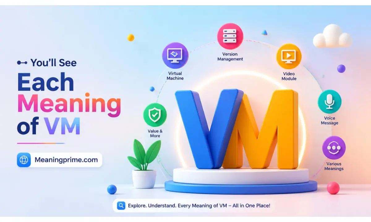 Each Meaning of VM