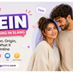 Fein meaning