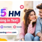 HM Meaning in Text