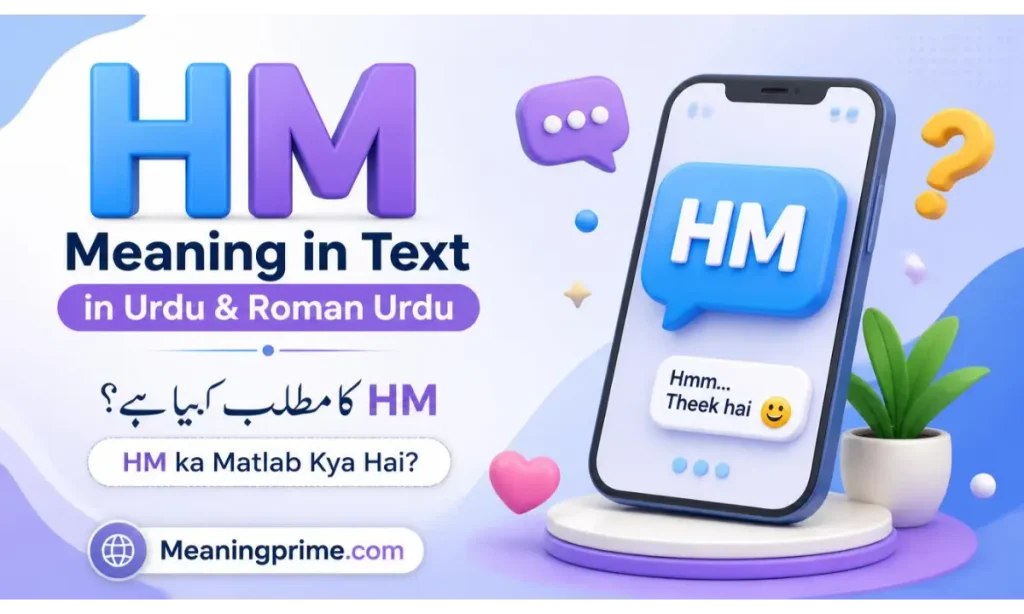 HM Meaning in Text in Urdu & Roman Urdu