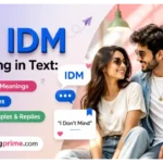IDM Meaning in Text