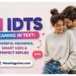 IDTS Meaning in Text