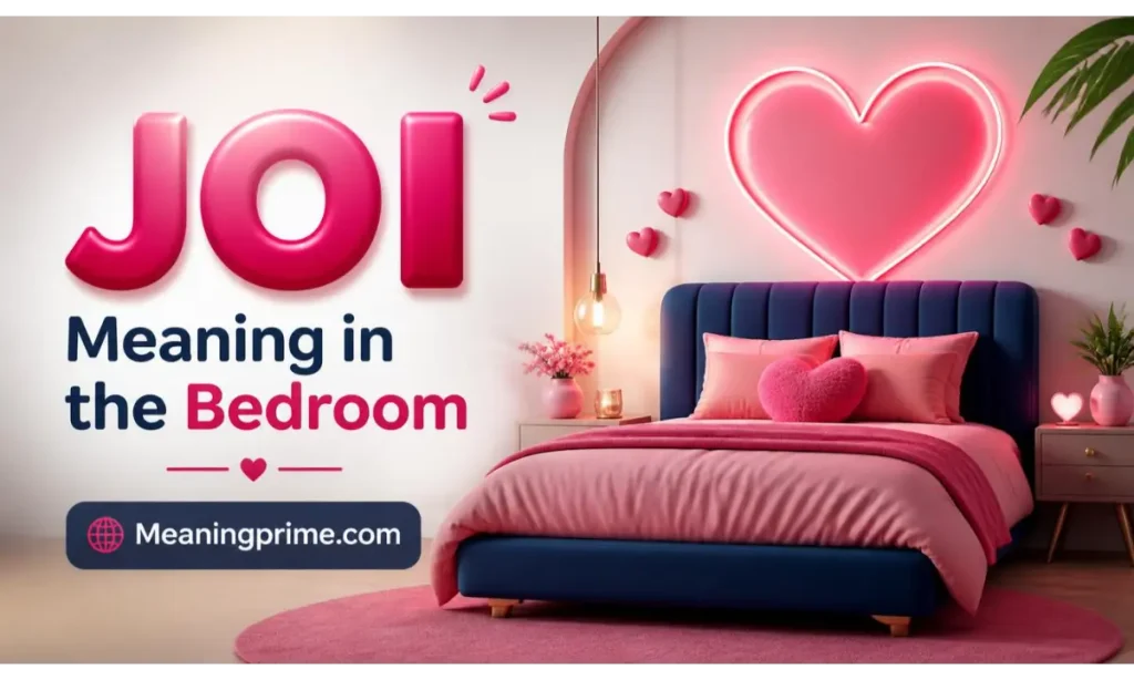 JOI Meaning in the Bedroom