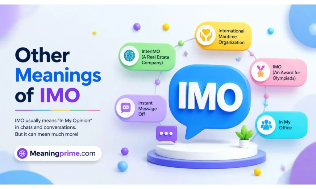 Other Meanings of IMO