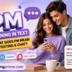PM meaning in text