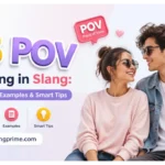 POV Meaning