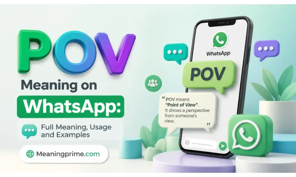 POV Meaning on WhatsApp