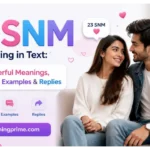 SNM Meaning in Text