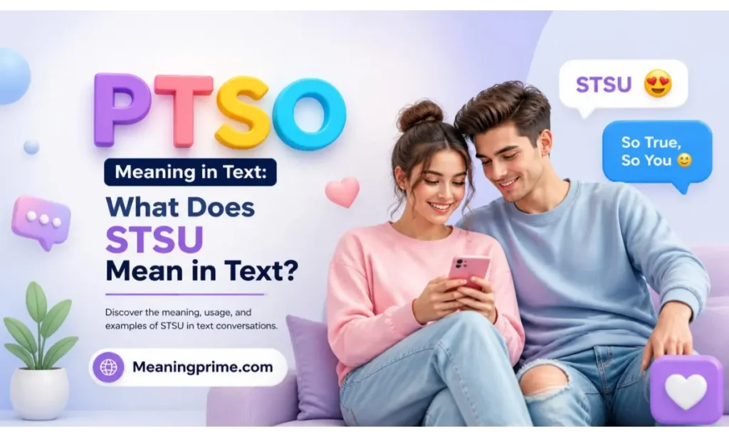 STSU Mean in Text