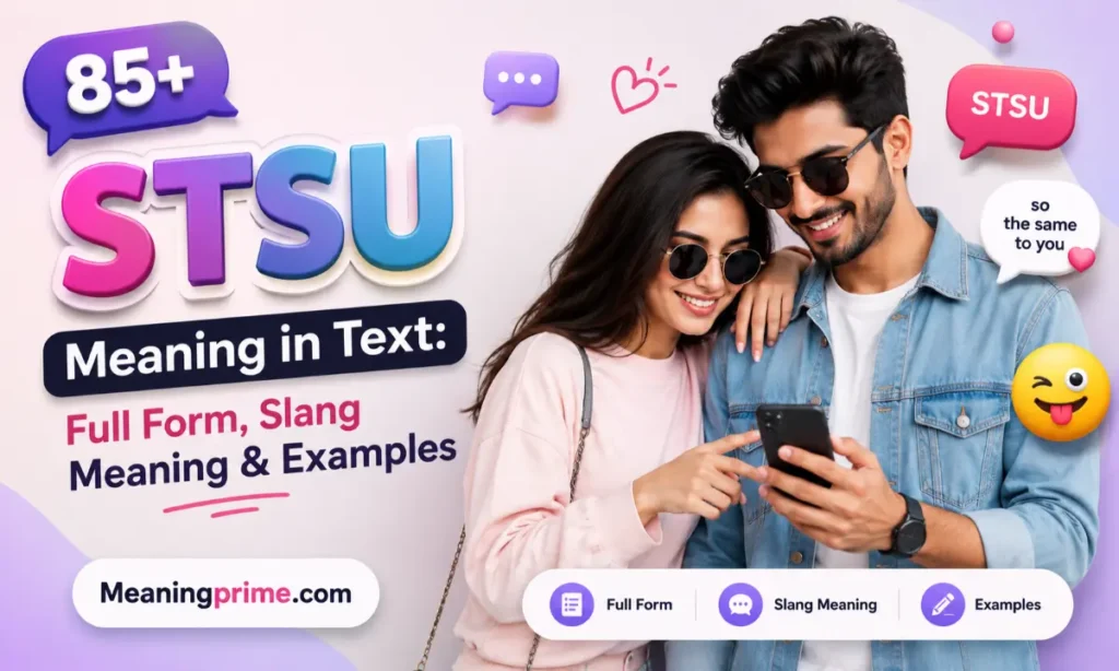 STSU-meaning-in-text