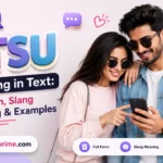STSU-meaning-in-text