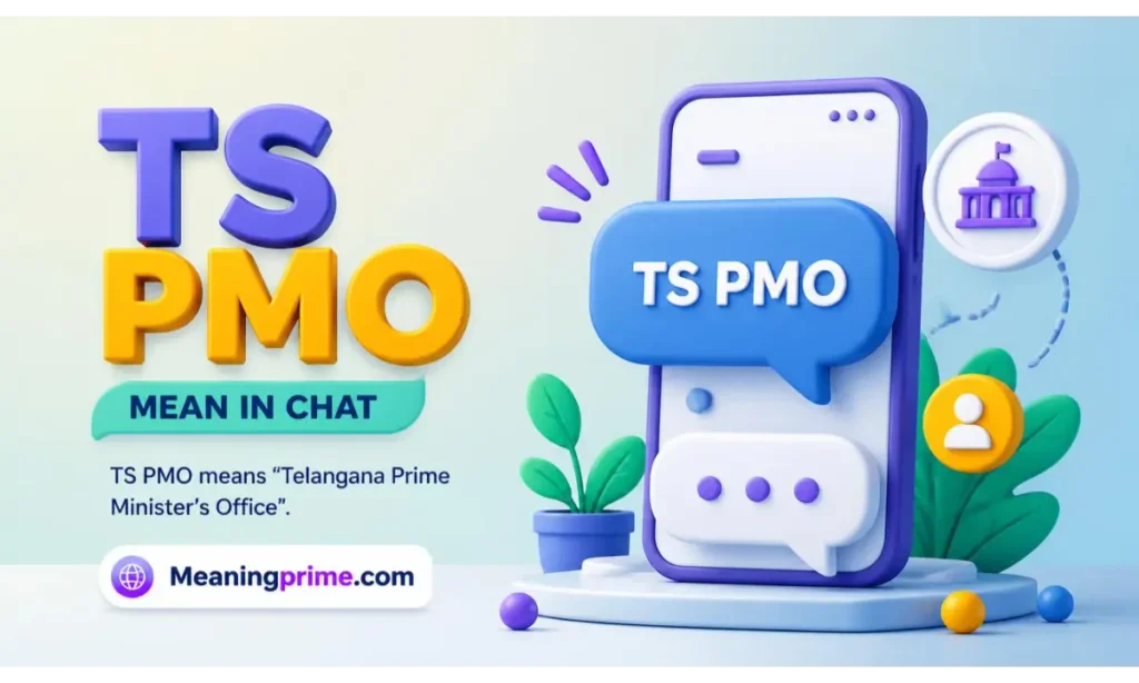 TS PMO Mean in Chat