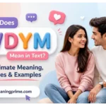 WDYM Mean in Text