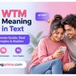WTM Meaning in Text