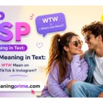 WTW meaning in text