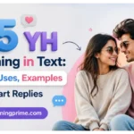 YH Meaning in Text