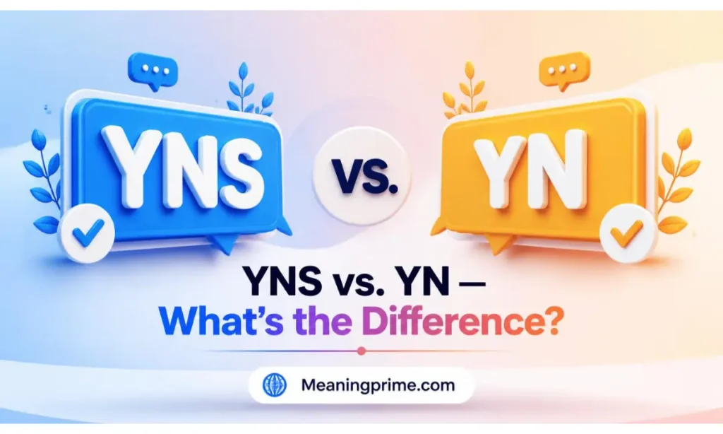 YNS vs. YN
