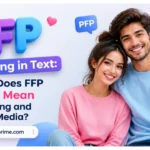 pfp meaning in text