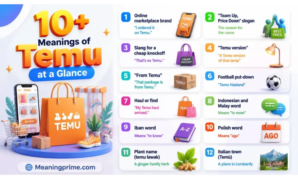 10+ Meanings of Temu at a Glance