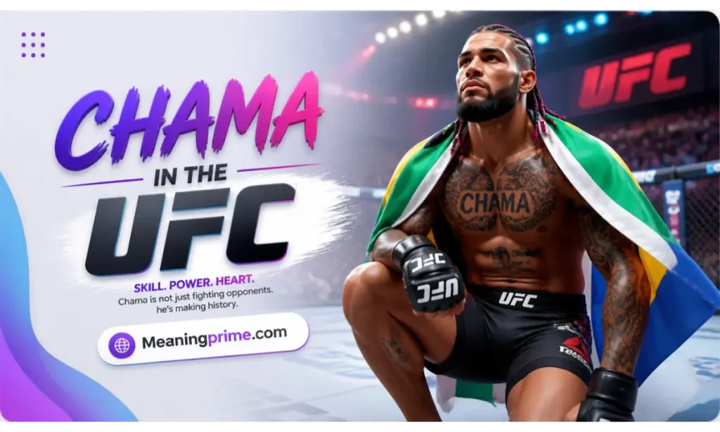 Chama in the UFC