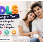 DLS Meaning in Text