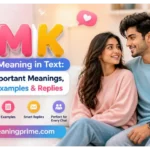 IMK Meaning in Text