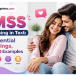 LMSS Meaning in Text