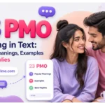 PMO Meaning in Text