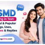 SMD Meaning