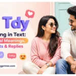 Tdy Meaning in Text