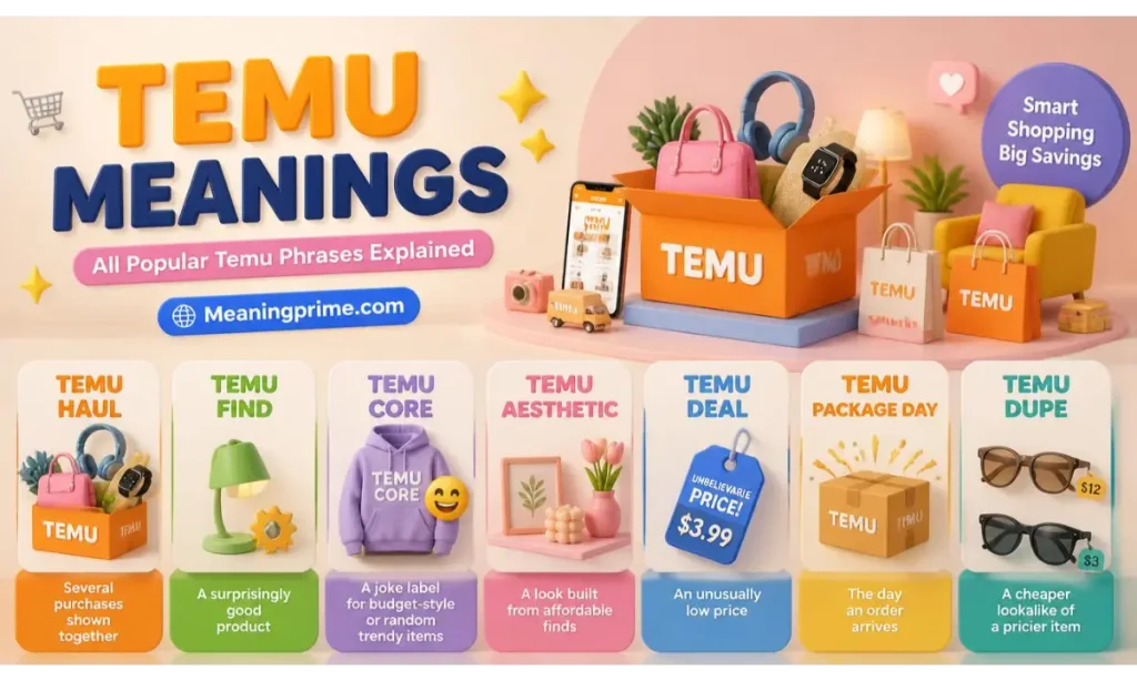Temu Haul, Temu Find, Temu Core & Other Variations