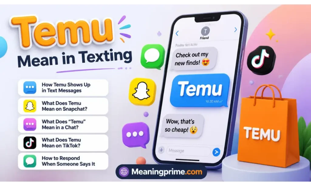 Temu Mean in Texting