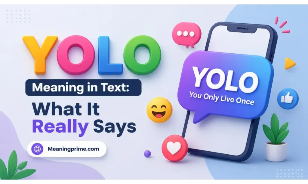 YOLO Meaning in Text What It Really Says