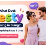 Zesty Meaning